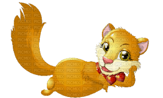 Kaz_Creations Cute Foxes Fox - kostenlos png