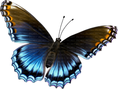 Kaz_Creations Butterflies Butterfly - 無料png