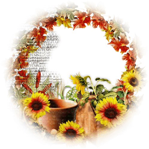 soave deco autumn frame flowers circle leaves - ingyenes png