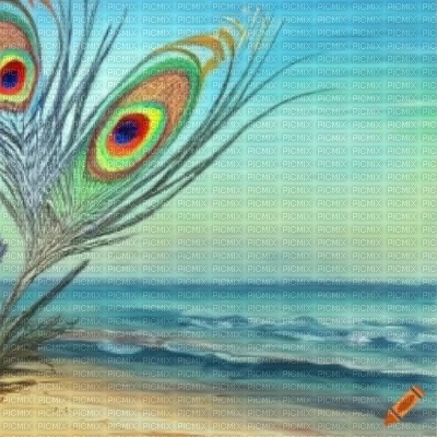 Beach with Peacock Feathers - kostenlos png