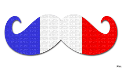 moustache drapeau français - png ฟรี