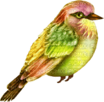 fågel - 免费PNG