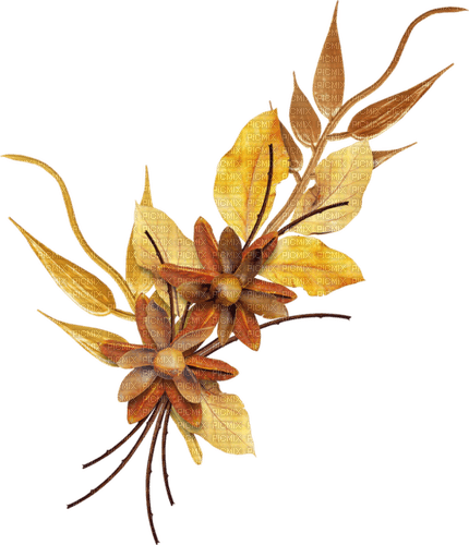 autumn deco leaves flowers brown kikkapink - kostenlos png