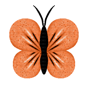 Kaz_Creations Deco Butterfly Colours - Ingyenes animált GIF