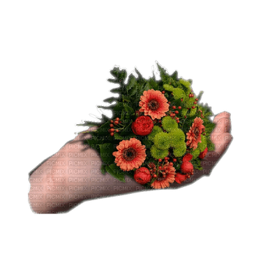 fleurs - zdarma png
