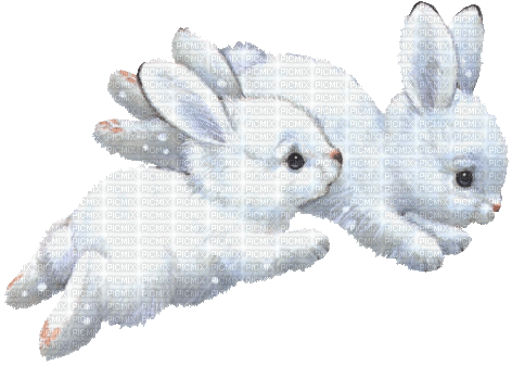 winter bunny - Darmowy animowany GIF