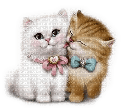 Chats.S - Free PNG