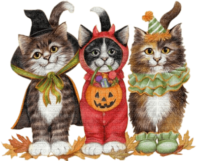 chats halloween - Free PNG