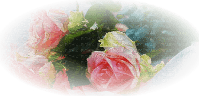 pink rose roses pink deco - ilmainen png