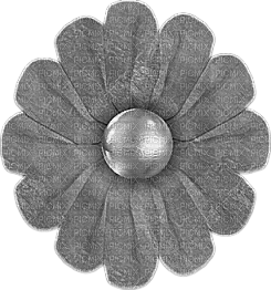 fleur grise.Cheyenne63 - nemokama png