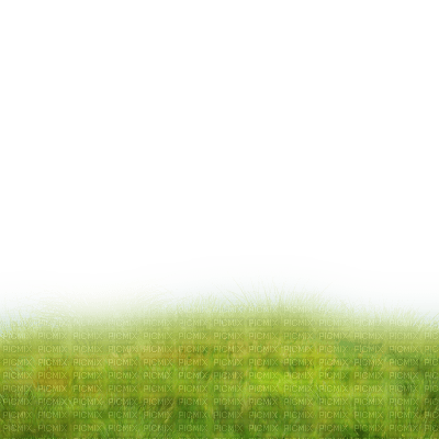 grass - nemokama png