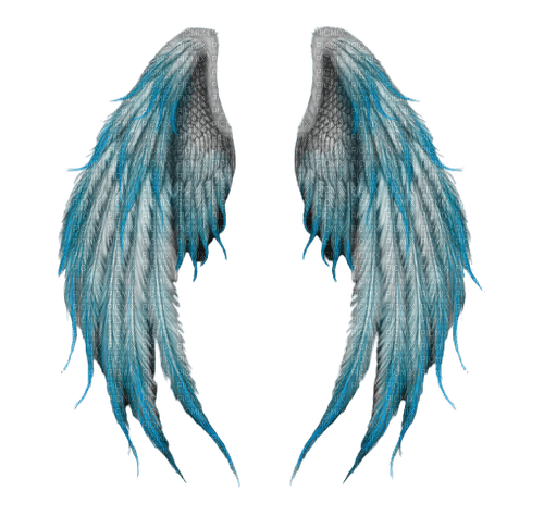 blue wings - png grátis
