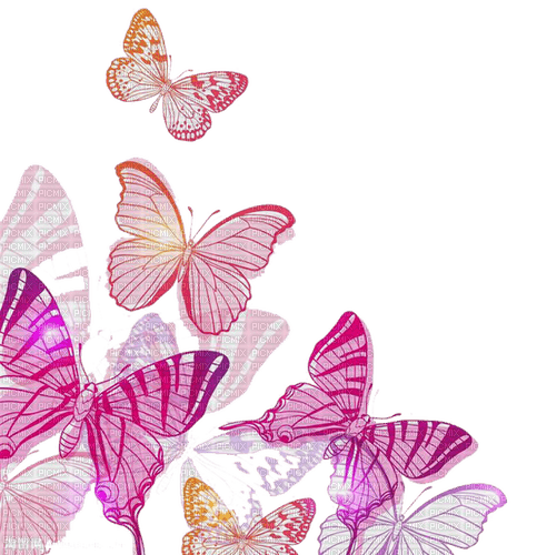 Butterflies - zadarmo png