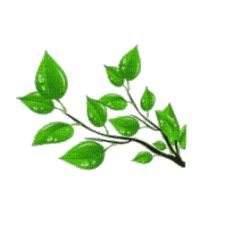 зеленые веточки - Nemokamas animacinis gif