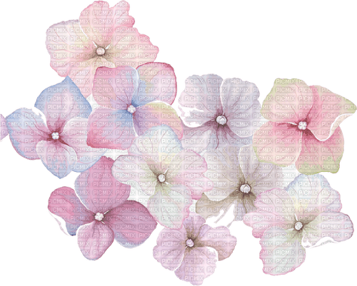 watercolor flowers - png ฟรี