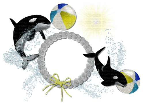dolceluna summer frame dolphins - Free PNG