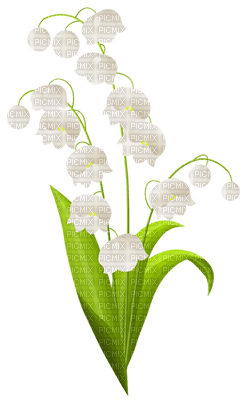Kaz_Creations Spring Flowers - PNG gratuit