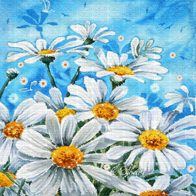 soave background animated flowers daisy field - GIF animé gratuit