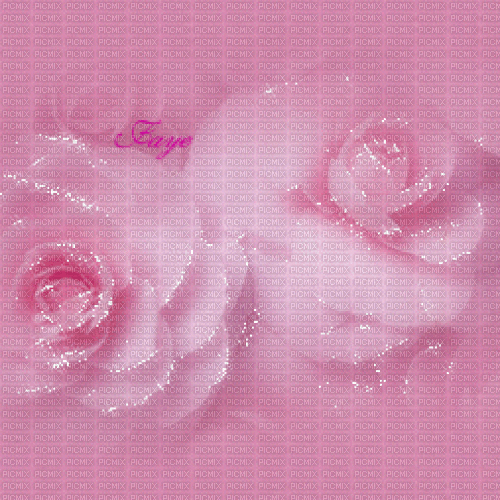 Background Pink roses ♫{By iskra.filcheva}♫ - GIF animado grátis