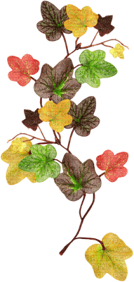 Kaz_Creations Deco Flowers Flower Colours - bezmaksas png