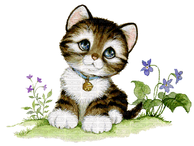 petit chat - Nemokamas animacinis gif