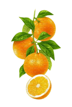 deco oranges orange transparent kikkapink - png grátis