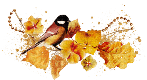 Осенний декор - фрее пнг