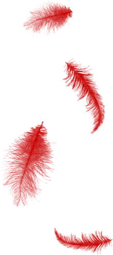 kikkapink red feathers feather deco scrap - PNG gratuit