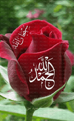 subHaan-allaah - Free animated GIF