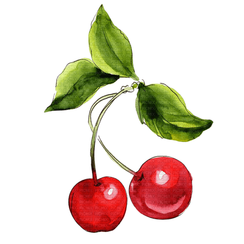 Cherries Bb2 - безплатен png