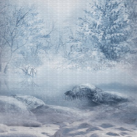 bg-vinter --winter - бесплатно png