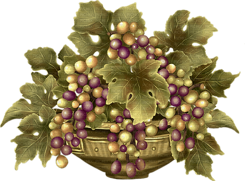 grapes by nataliplus - nemokama png