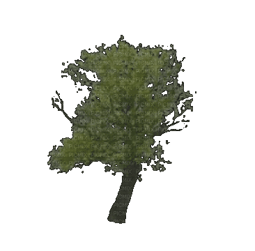 Arbre.Tree.Árbol.Wind.gif.Victoriabea - GIF animado gratis