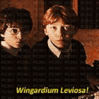 Wingardium Leviosa - GIF animado grátis