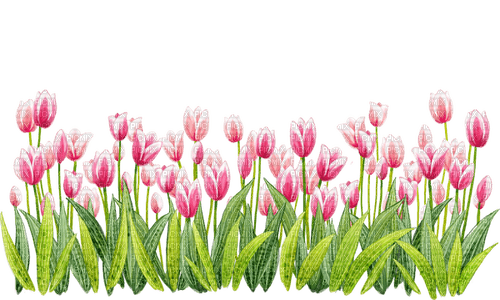 pink tulips Bb2 - png ฟรี