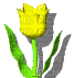 Tulipe jaune qui se balance - GIF animé gratuit