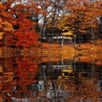 autumn background  by nataliplus - GIF animasi gratis