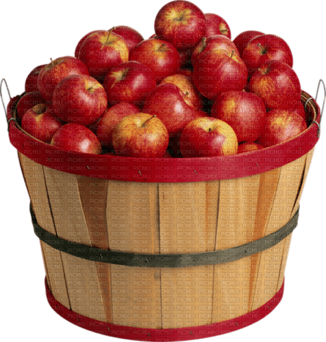 Apples.Pommes.Manzanas.Victoriabea - PNG gratuit