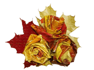Kaz_Creations Deco Flowers Flower Colours Autumn - Free PNG