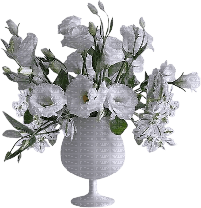 jarron con flores blanca - png gratuito