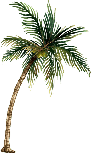 kikkapink deco summer palm tree png - δωρεάν png