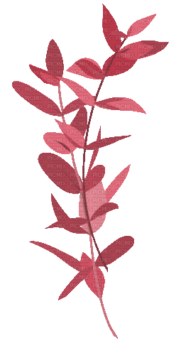 Plants.Red.plante.Deco.Victoriabea - GIF animado gratis