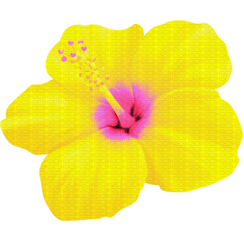 Flower.Yellow.Pink - ücretsiz png