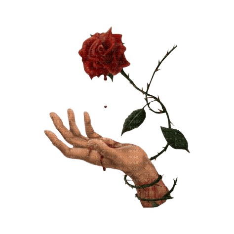 Rose gothique - png grátis