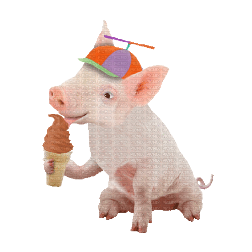 Piglet with Ice Cream - Free animated GIF