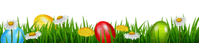 easter eggs GRASS  oeufs pâques HERBE  deco - 免费PNG