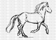 Horse - Animovaný GIF zadarmo