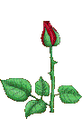 rosa gif-l - Darmowy animowany GIF