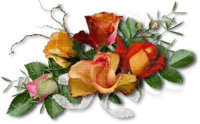 rose/decoration - PNG gratuit