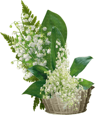 patymirabelle fleurs muguet - PNG gratuit